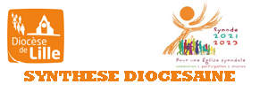 20220530 SYNTHESE DIOCESE.pdf